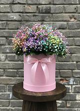 Цветочная композиция из Гипсофила и Розы в шляпной коробке в Николо-Александровском