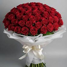 Букет 101 Красная роза Блэк Мэджик в Николо-Александровском