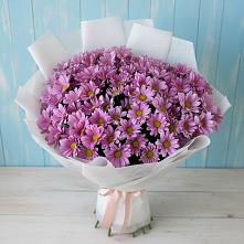 Букет цветов из:  Хризантемы #REPLACE_PRED# Николо-Александровском