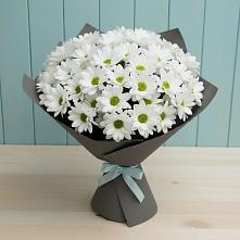 Букет цветов из:  Хризантемы в Николо-Александровском