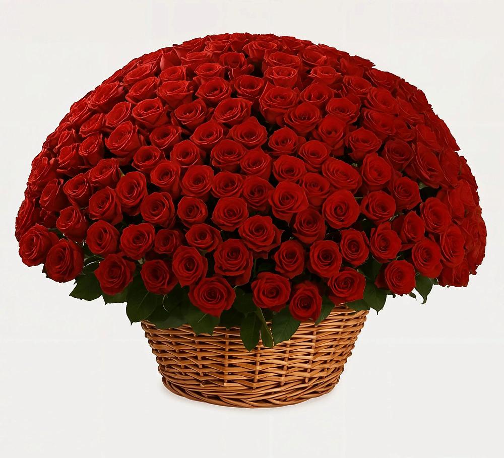 Премиум букет из: Розы в Николо-Александровском