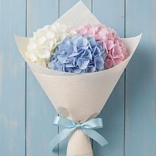 Букет цветов из:  Гортензия #REPLACE_PRED# Николо-Александровском