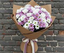 Букет цветов из:  Хризантемы #REPLACE_PRED# Николо-Александровском