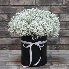 Цветочная композиция из Гипсофила в шляпной коробке в Николо-Александровском